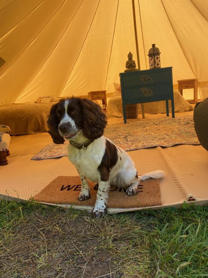 Swallows Oast Glamping Sedlescombe Esterno foto